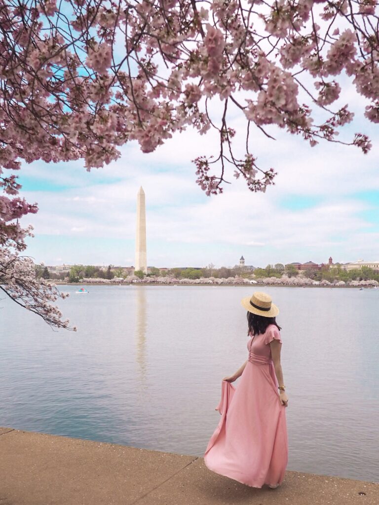 Tips to See the Cherry Blossoms in Washington D.C.