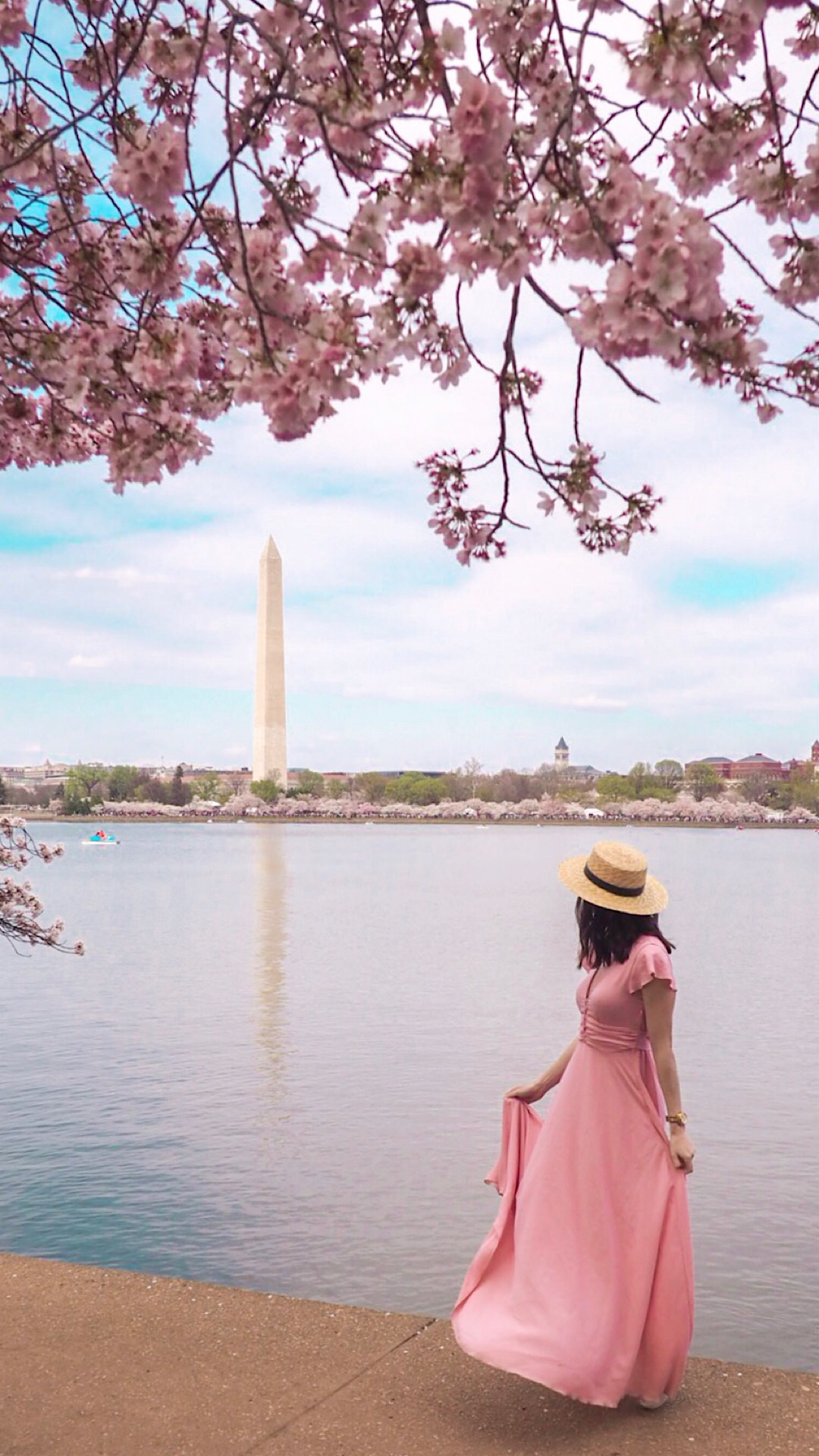 Tidal basin with Cherry Blossom trees 