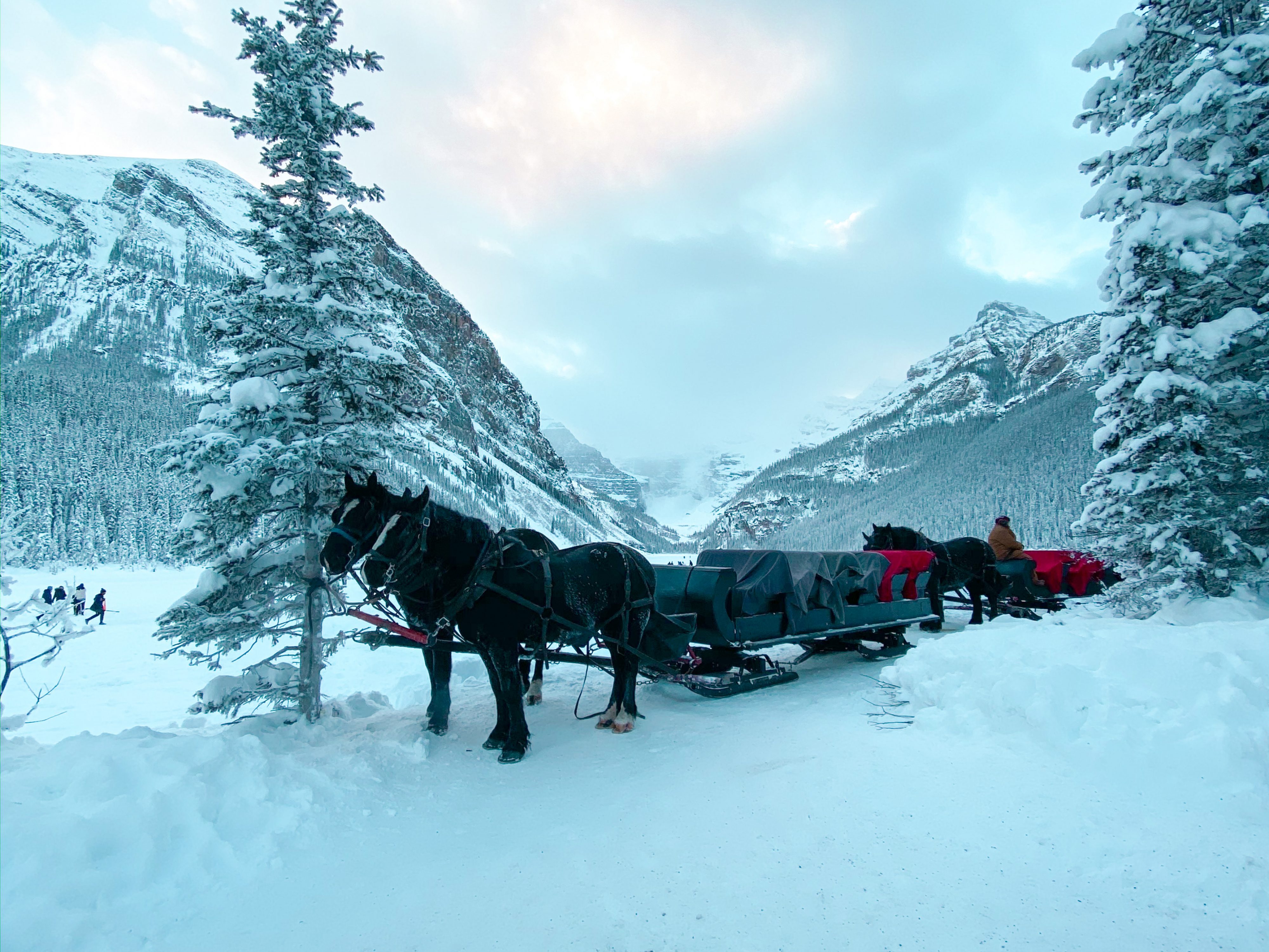 sleigh ride around Lake Louise, Top Winter Activities in Banff