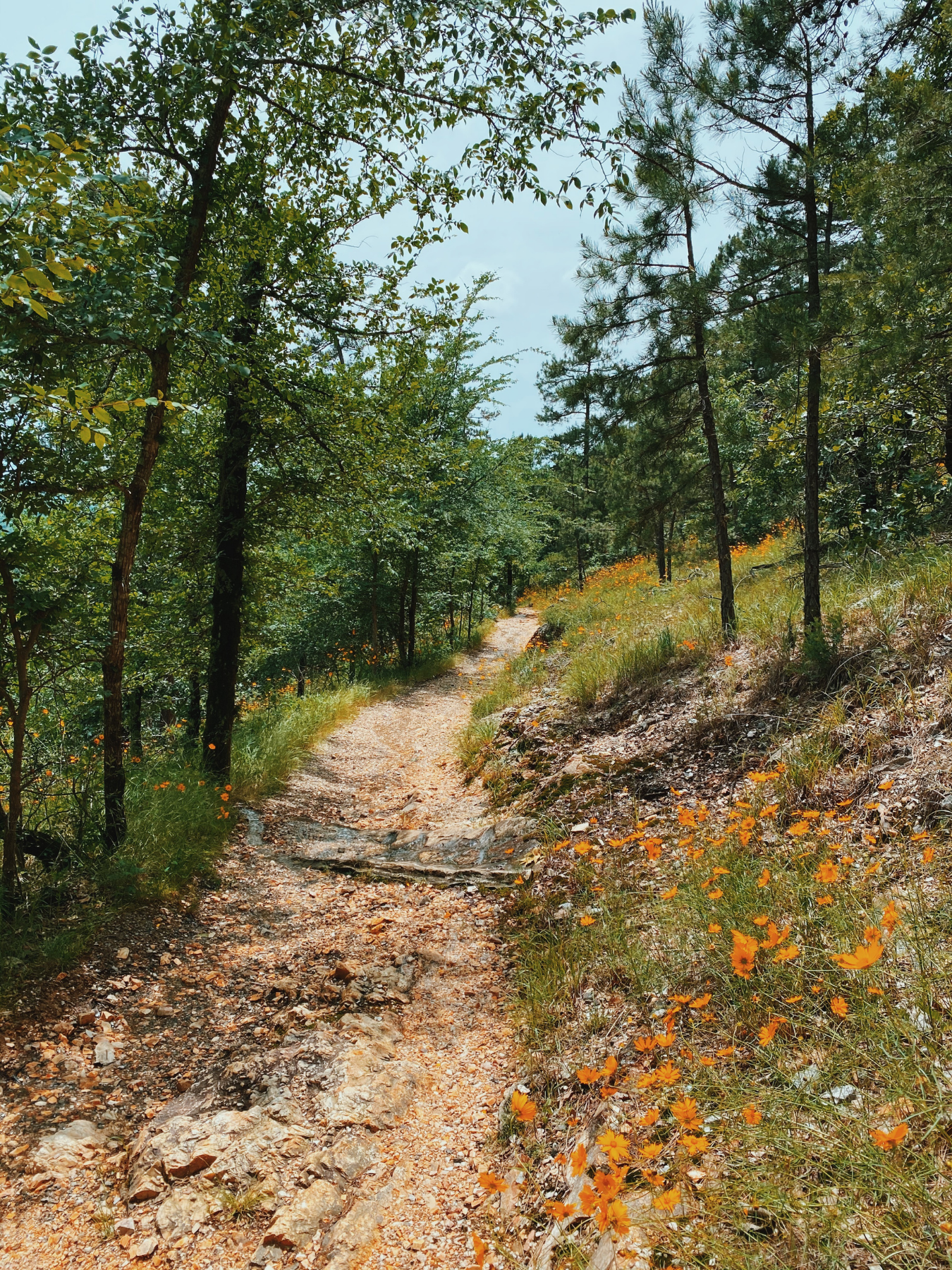 Best Hikes in Hot Springs National Park