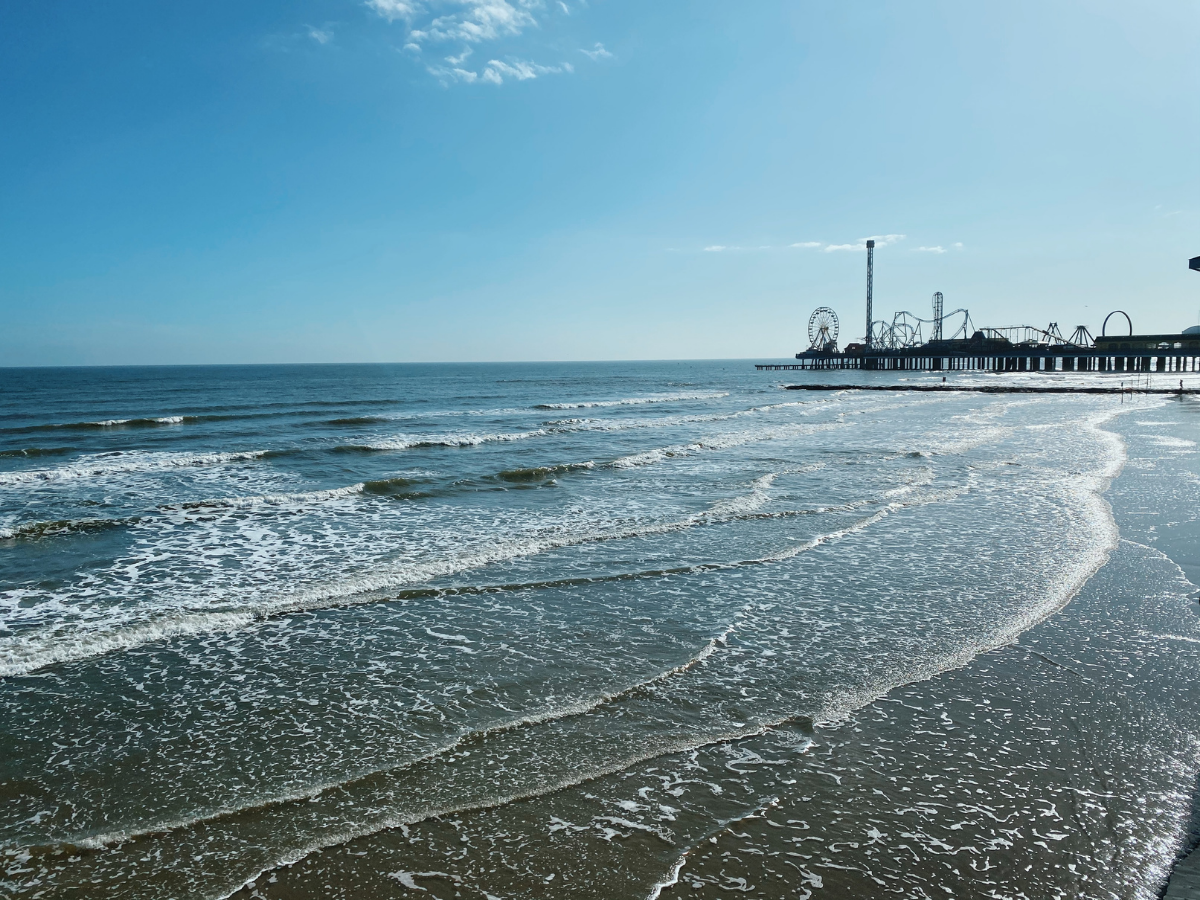 THE best things to do in Galveston!